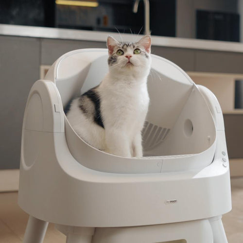 Autoscooper 11 Open-top Self-cleaning Smart Cat Litter Box